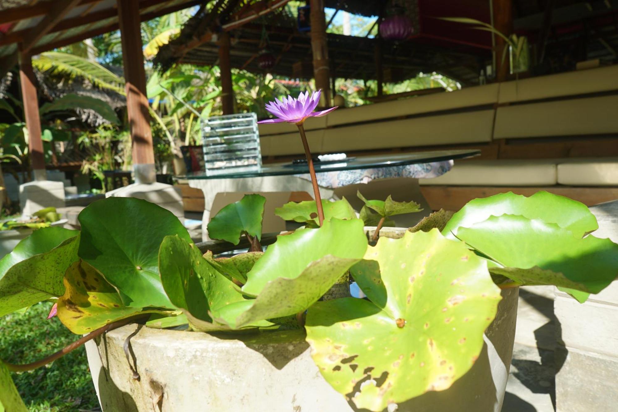 Red Coconut Villa Bentota Zewnętrze zdjęcie