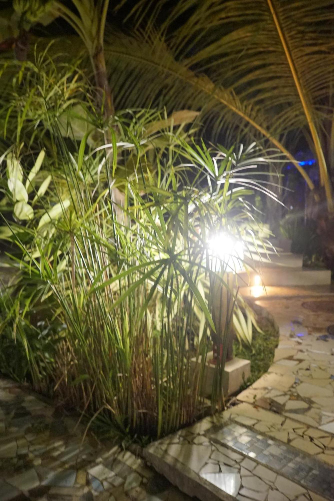Red Coconut Villa Bentota Zewnętrze zdjęcie